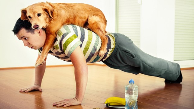 How Pets Can Be an Effective Lifestyle and Health Booster?